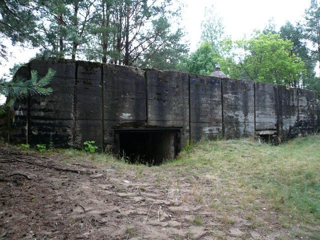 photo.jpg