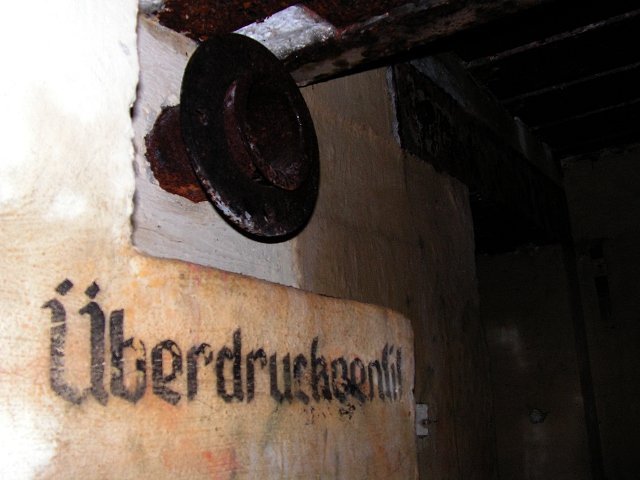photo6.jpg