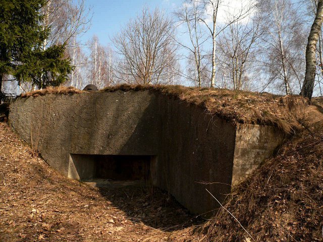 photo.jpg