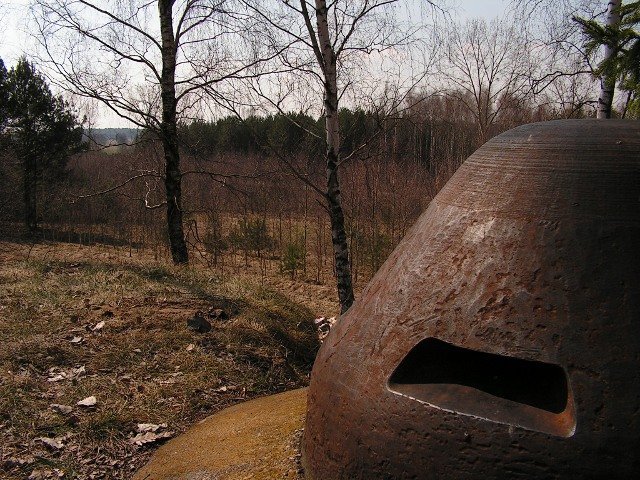 photo4.jpg