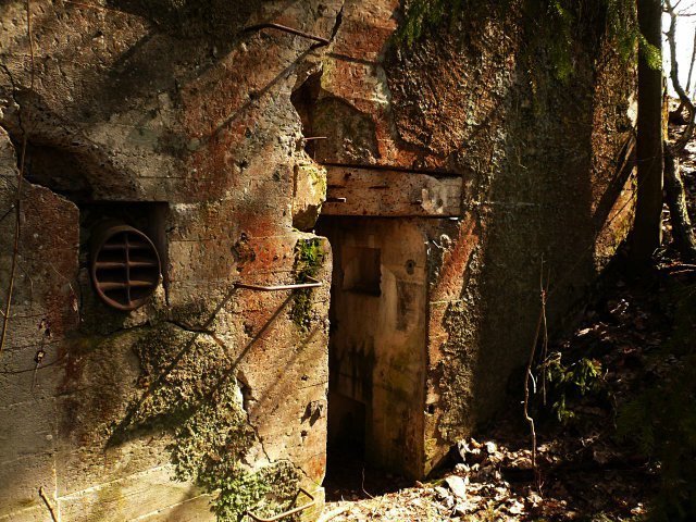 photo7.jpg