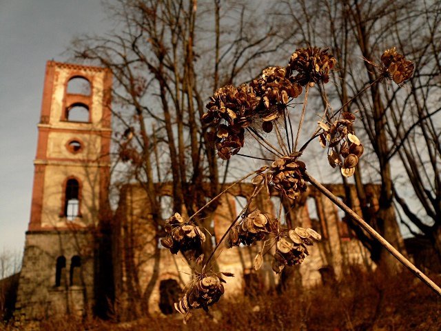 photo.jpg
