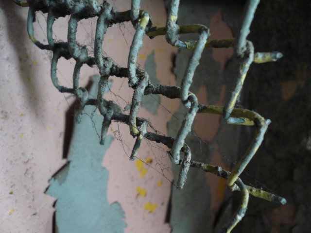 photo20.jpg