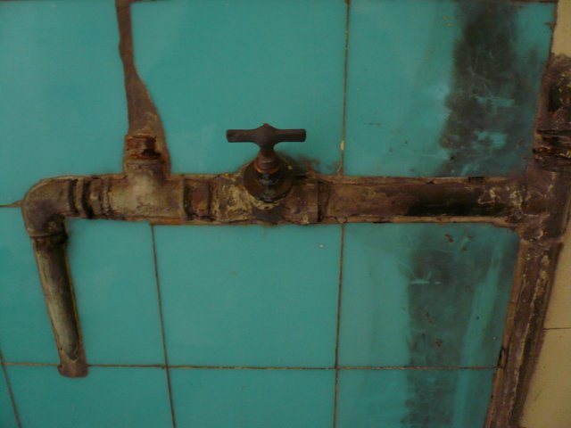 photo14.jpg