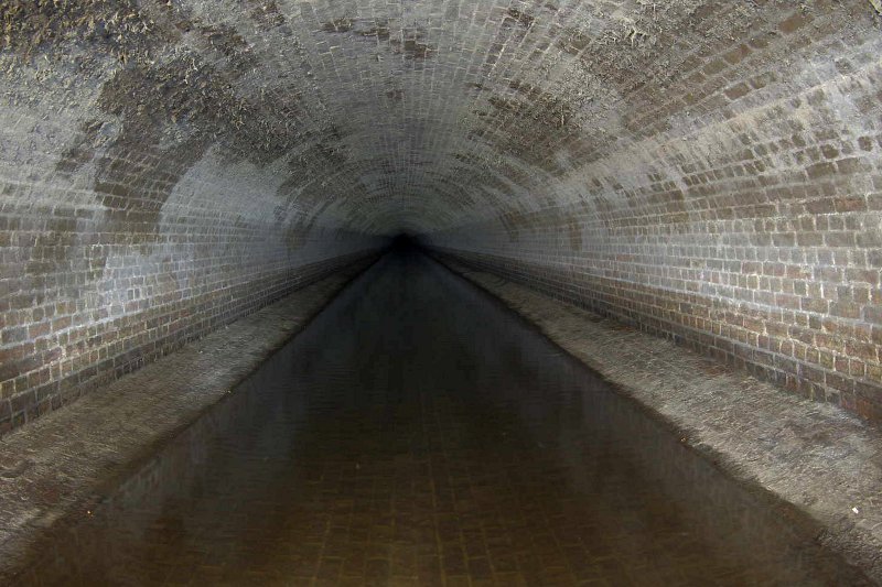 photo.jpg
