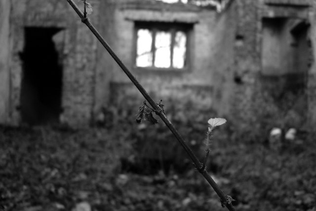 photo8.jpg
