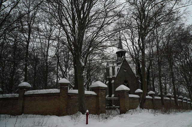 photo20.jpg