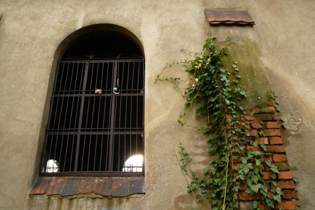photo6.jpg