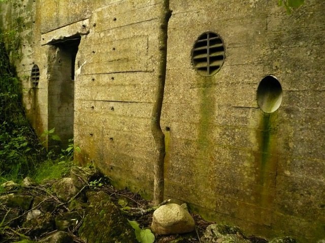 photo.jpg
