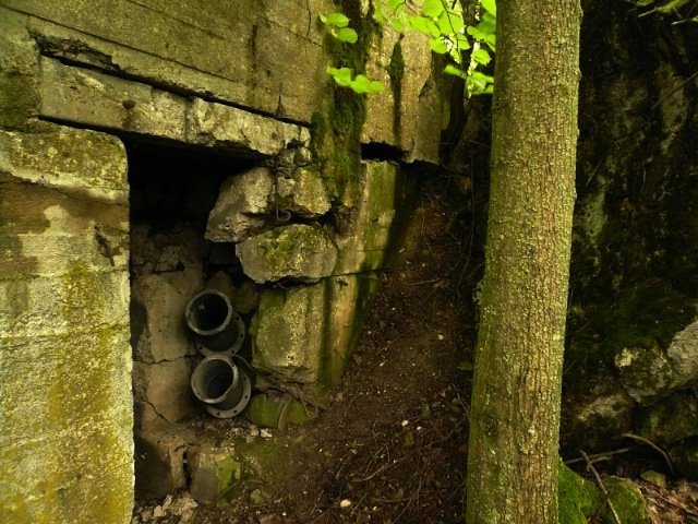 photo3.jpg