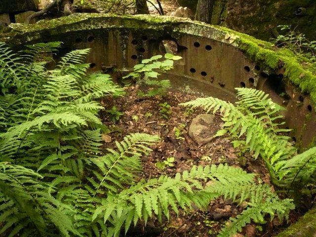 photo6.jpg