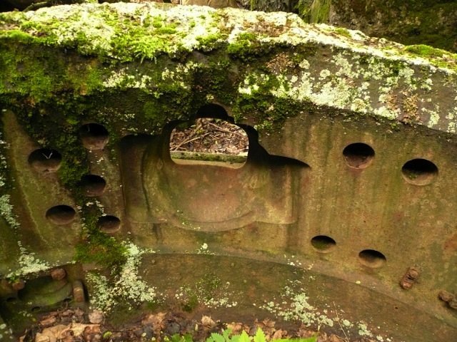 photo8.jpg