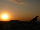 photo7_small.jpg