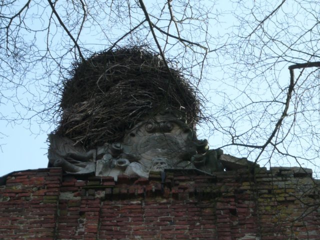 photo5.jpg
