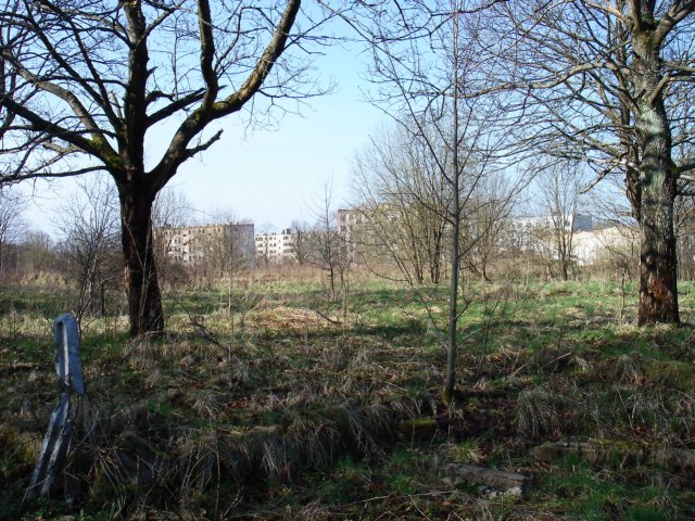 photo.jpg