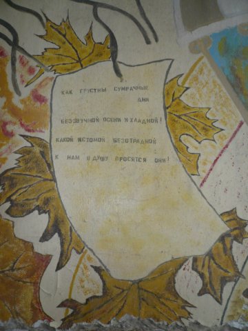 photo19.jpg