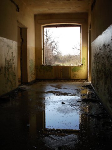 photo26.jpg