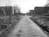 photo31_small.jpg
