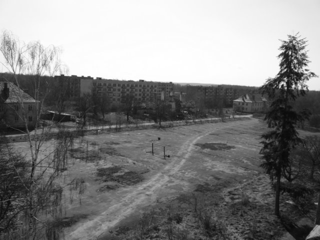 photo46.jpg