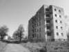 photo5_small.jpg