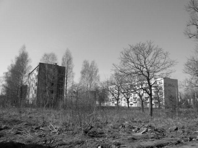 photo9.jpg