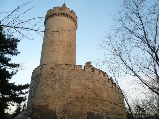 photo7.jpg