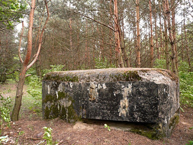 photo10.jpg