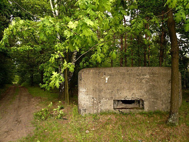 photo16.jpg