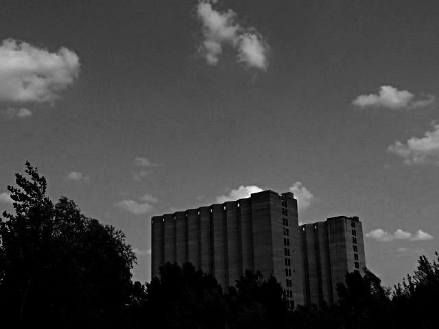 photo.jpg