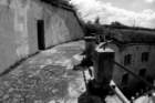 photo15_small.jpg