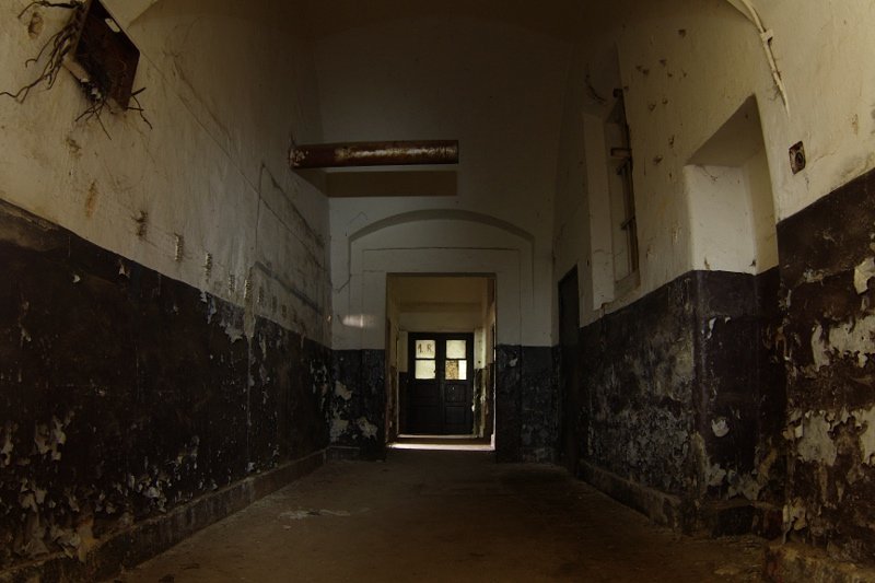photo7.jpg