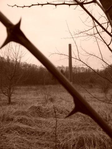 photo.jpg