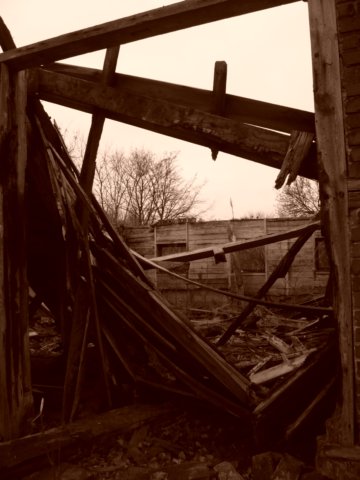 photo15.jpg