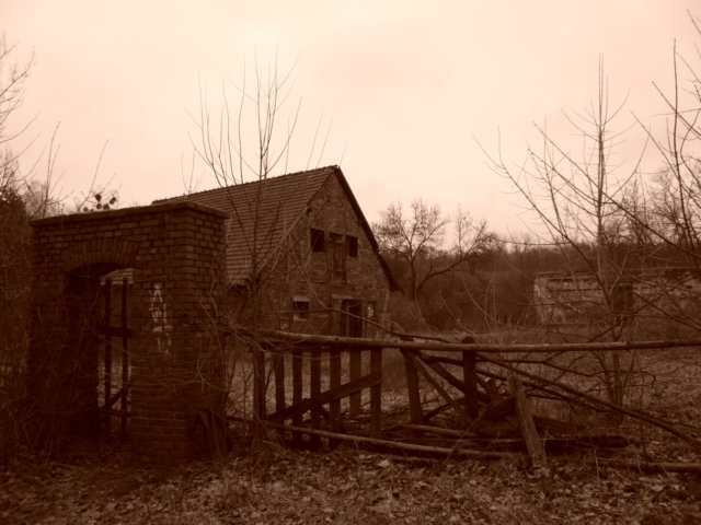 photo16.jpg