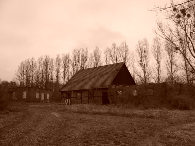 photo7.jpg