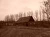 photo7_small.jpg