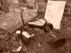 photo9_small.jpg