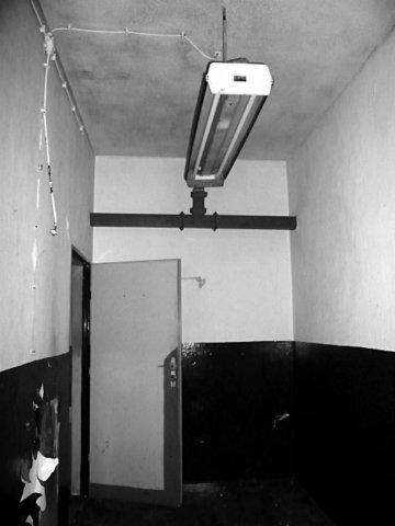 photo6.jpg