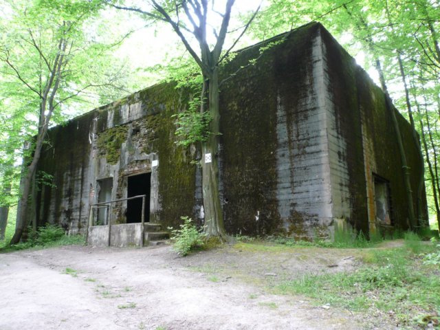 photo3.jpg