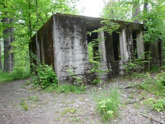 photo6.jpg