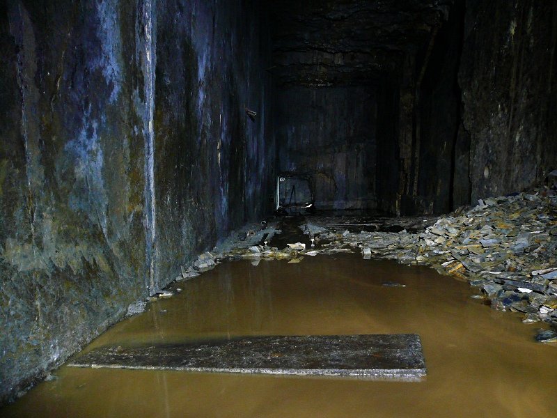 photo11.jpg