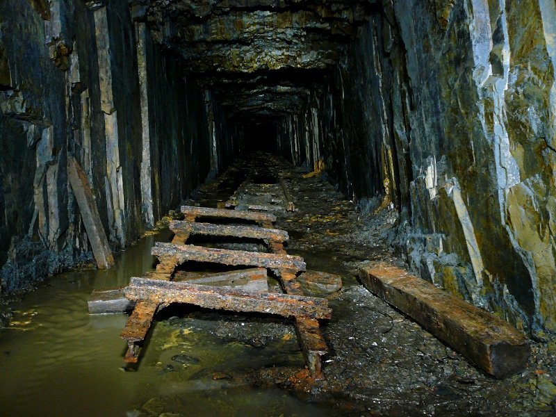 photo7.jpg