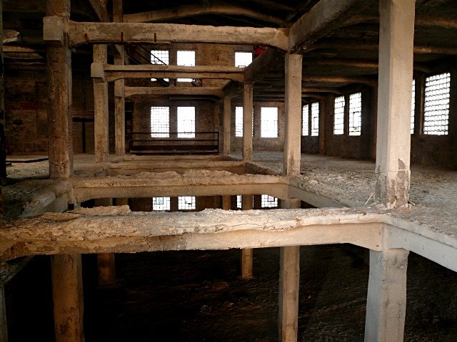 photo16.jpg
