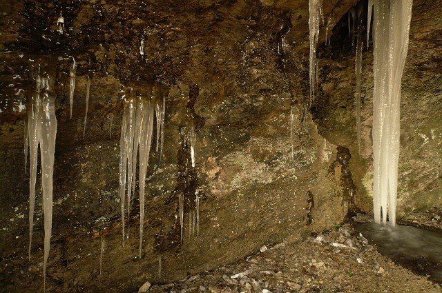 photo2.jpg
