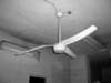 photo13_small.jpg