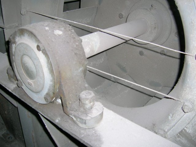 photo16.jpg