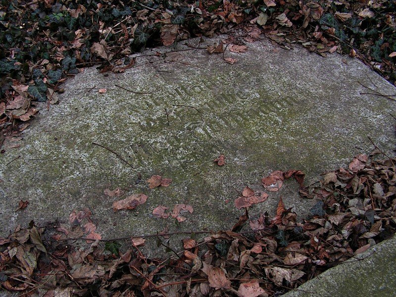photo8.jpg
