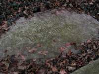 photo8_small.jpg