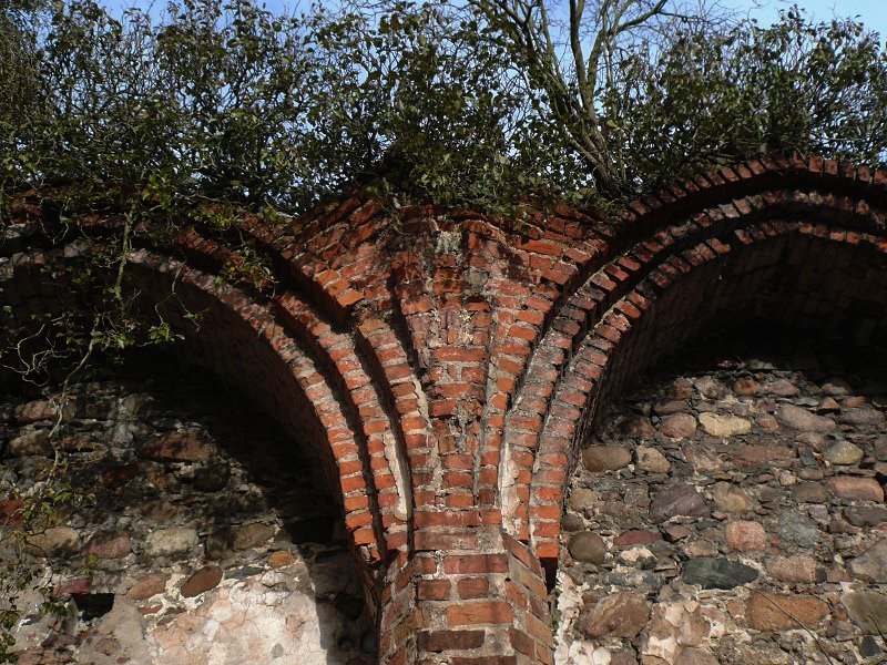 photo6.jpg