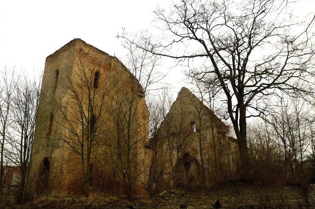 photo.jpg